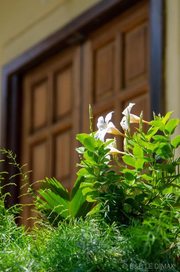Le Dimax Bed & Breakfast Sant'Agnello Eksteriør bilde