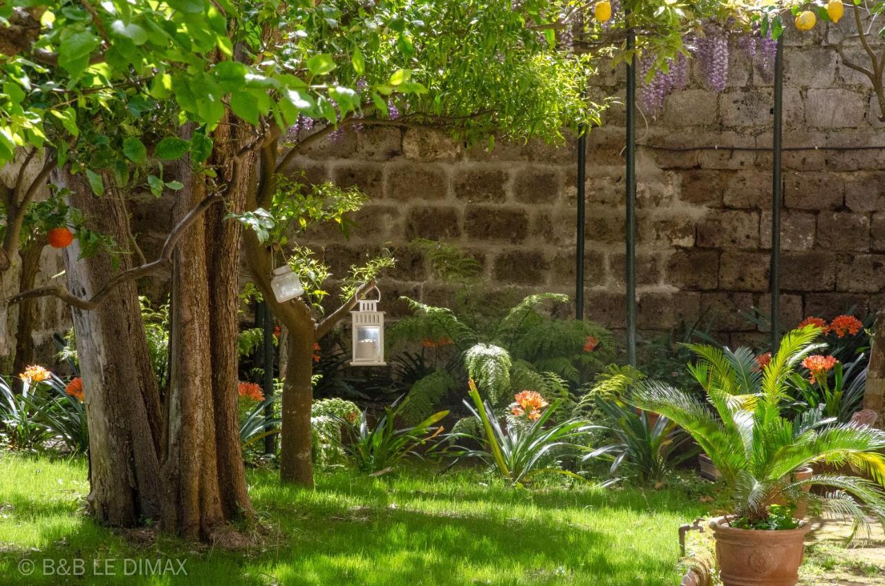 Le Dimax Bed & Breakfast Sant'Agnello Eksteriør bilde